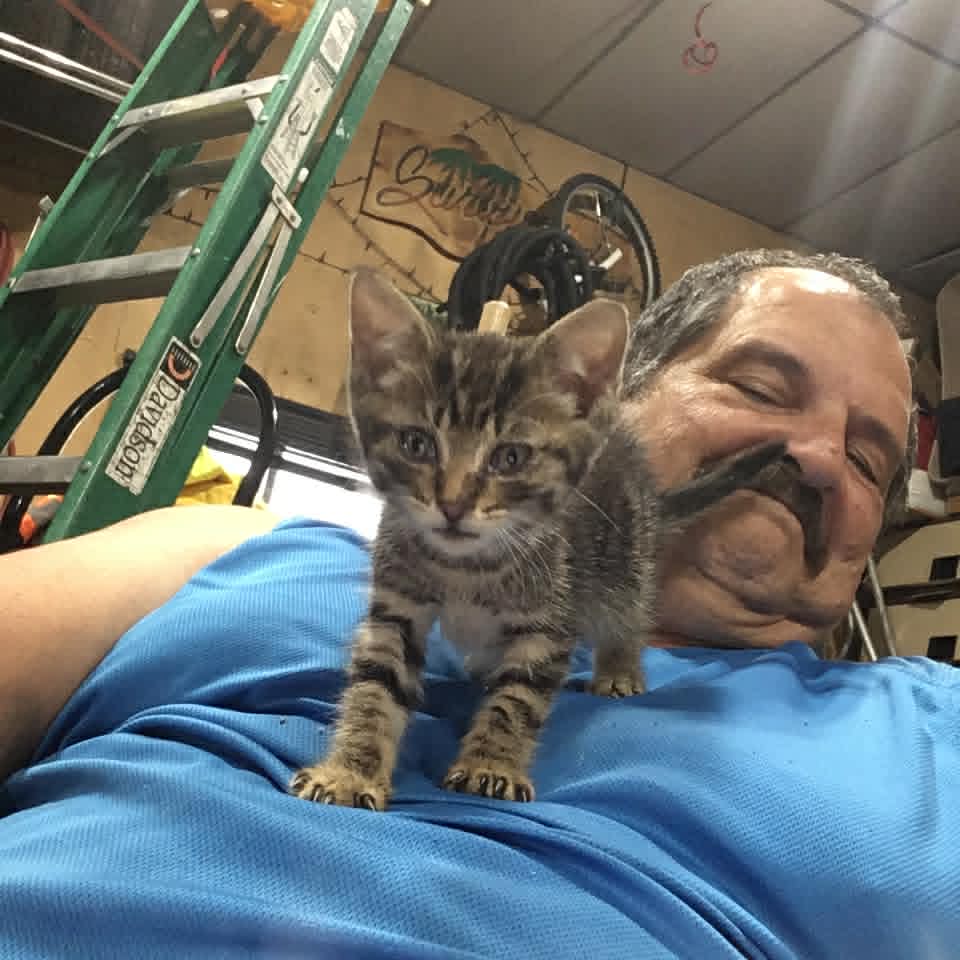 Chris with a tiny kitten on his shoulder